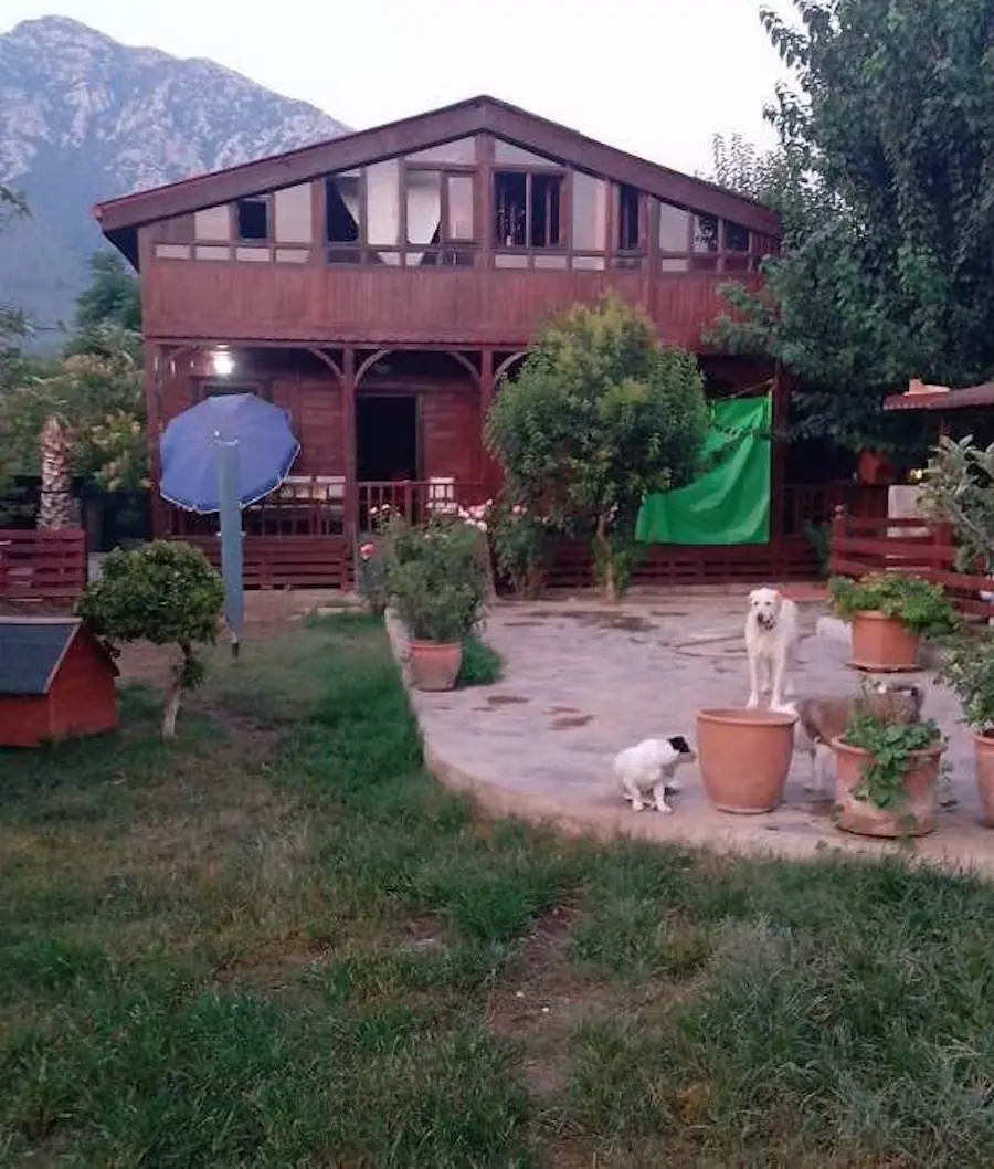 Real estate in Uzumlu